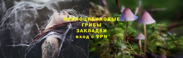 прущий лед Усинск