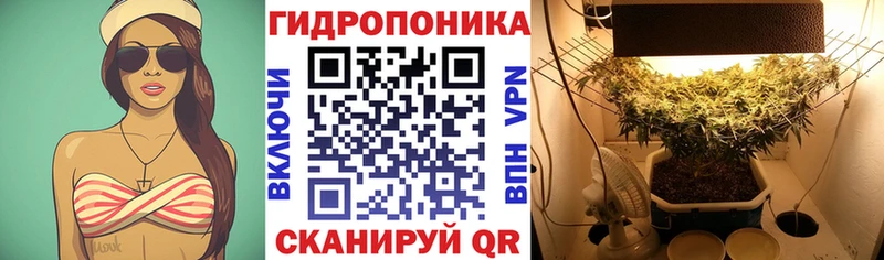 Купить закладки  Туймазы  Бошки Шишки сатива 